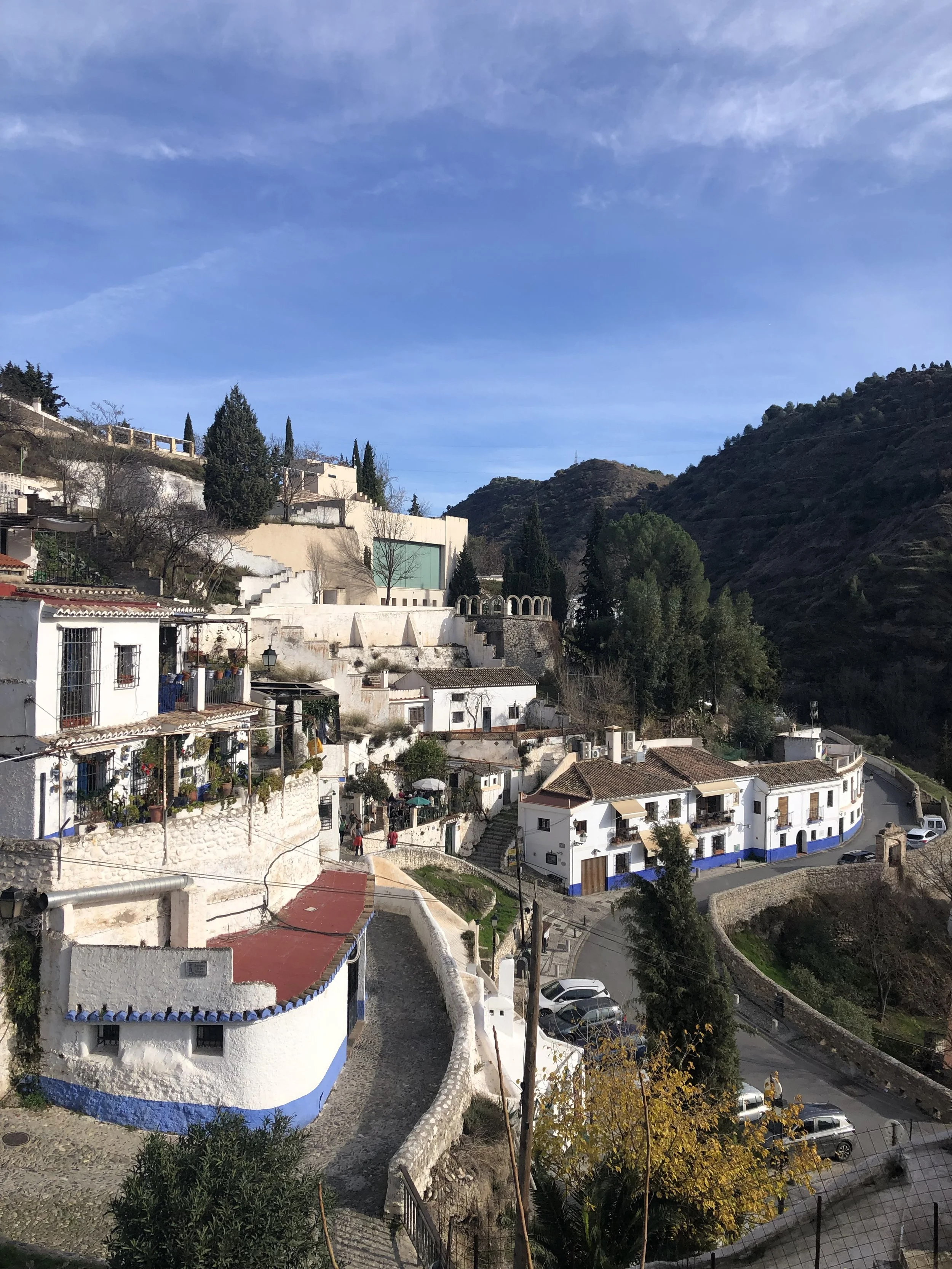 IMG_9796.jpeg