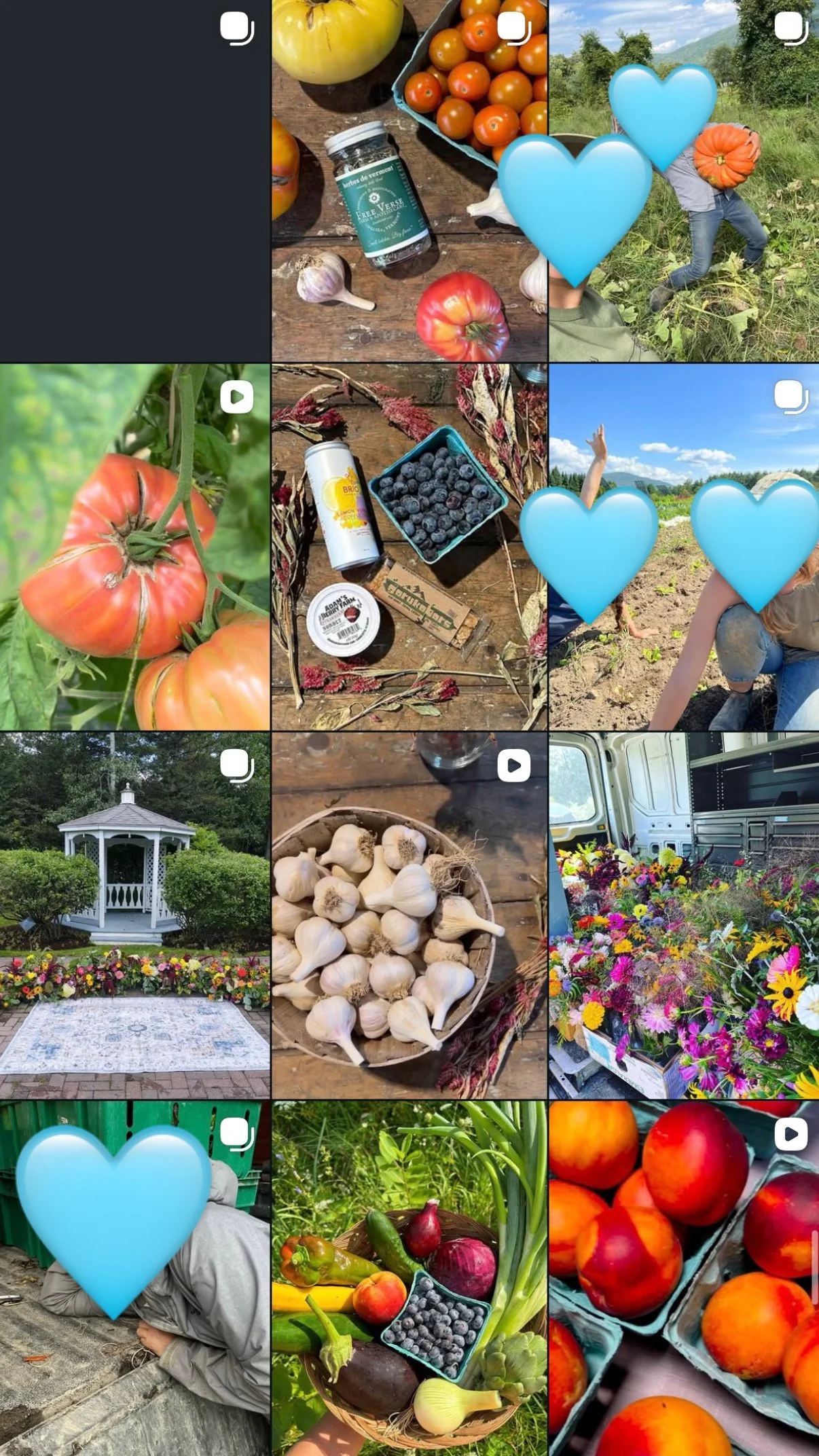 A4D99F25-BE86-4ACA-892E-A0C6003300FF (1).jpeg