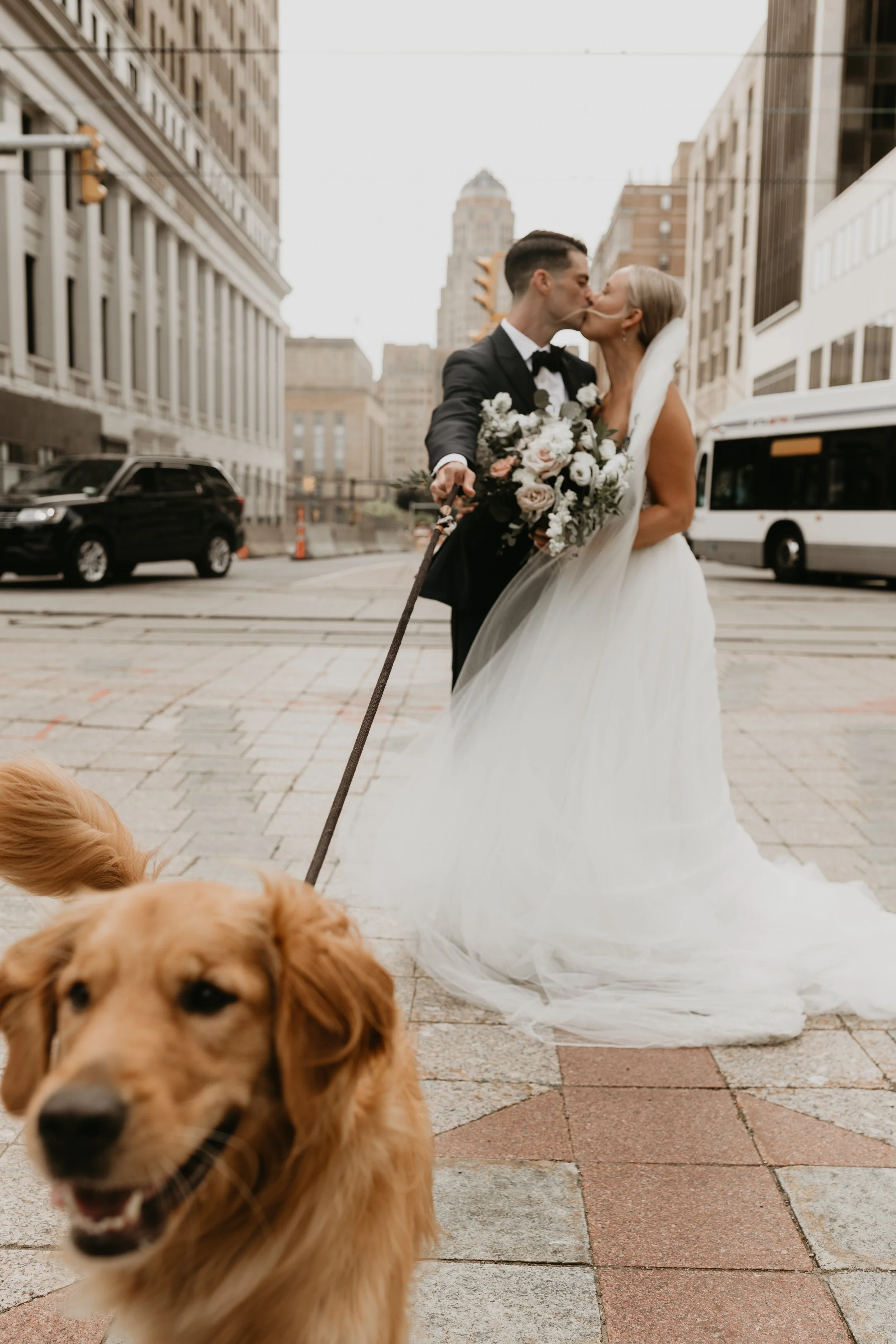 A bride and groom sharing a kiss on a city street, with a golden retriever dog in the foreground.