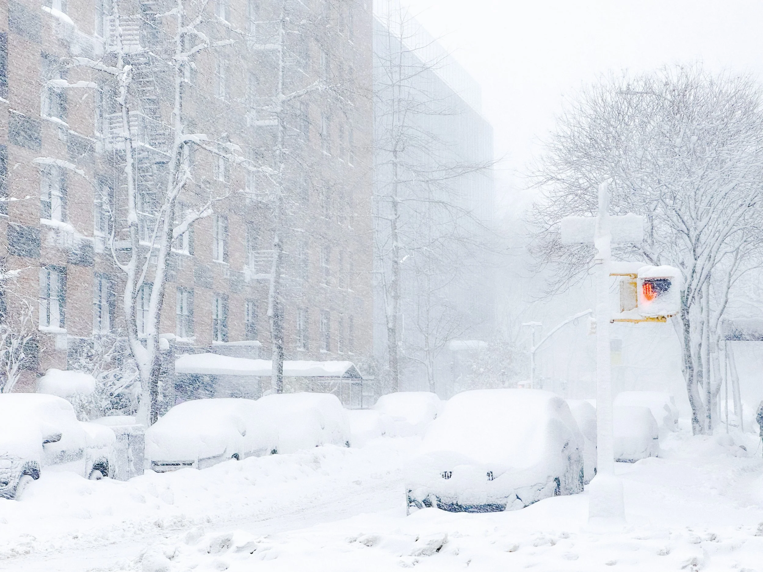 ColdWinter.jpeg