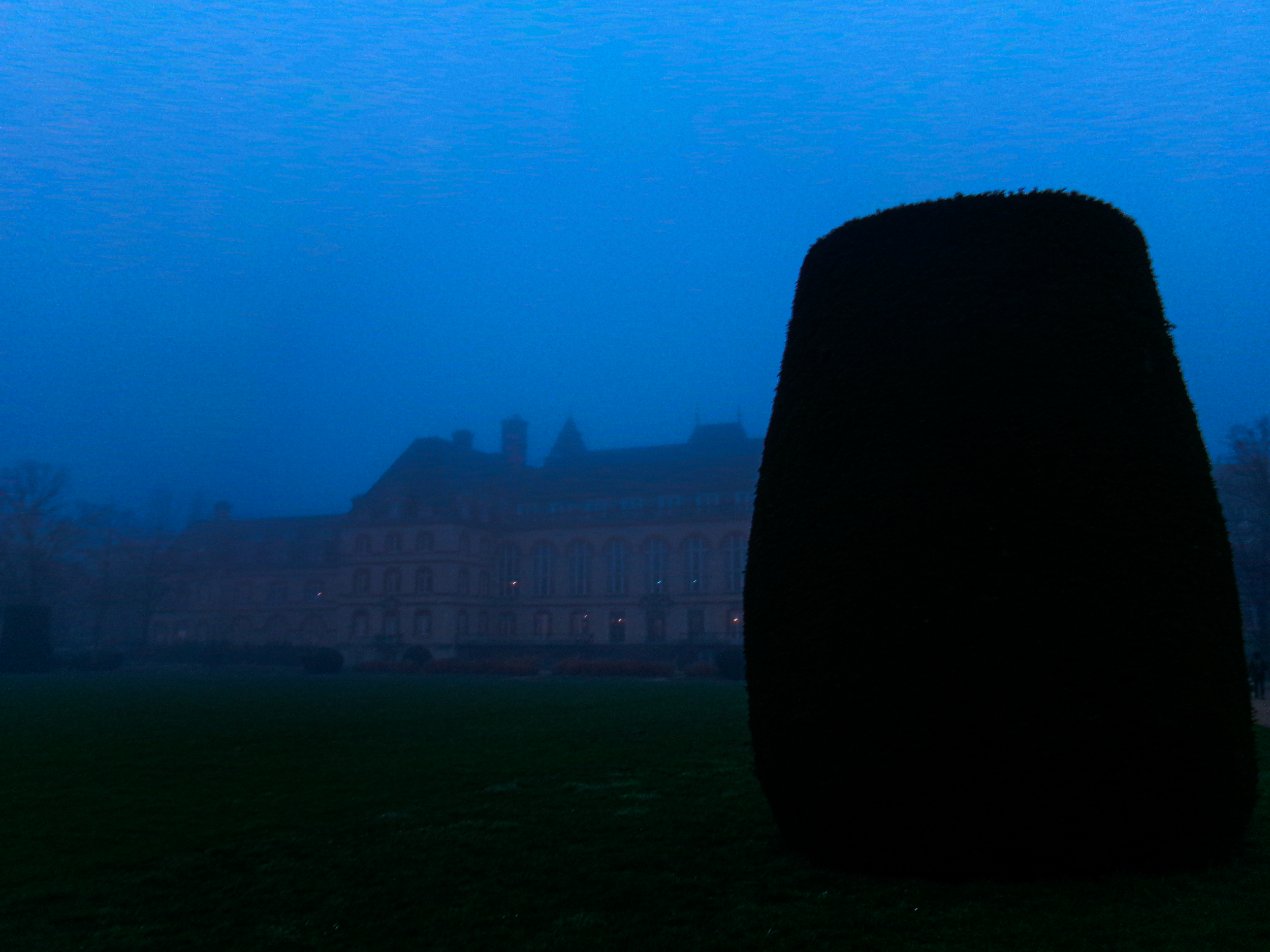 foggyciteU.png