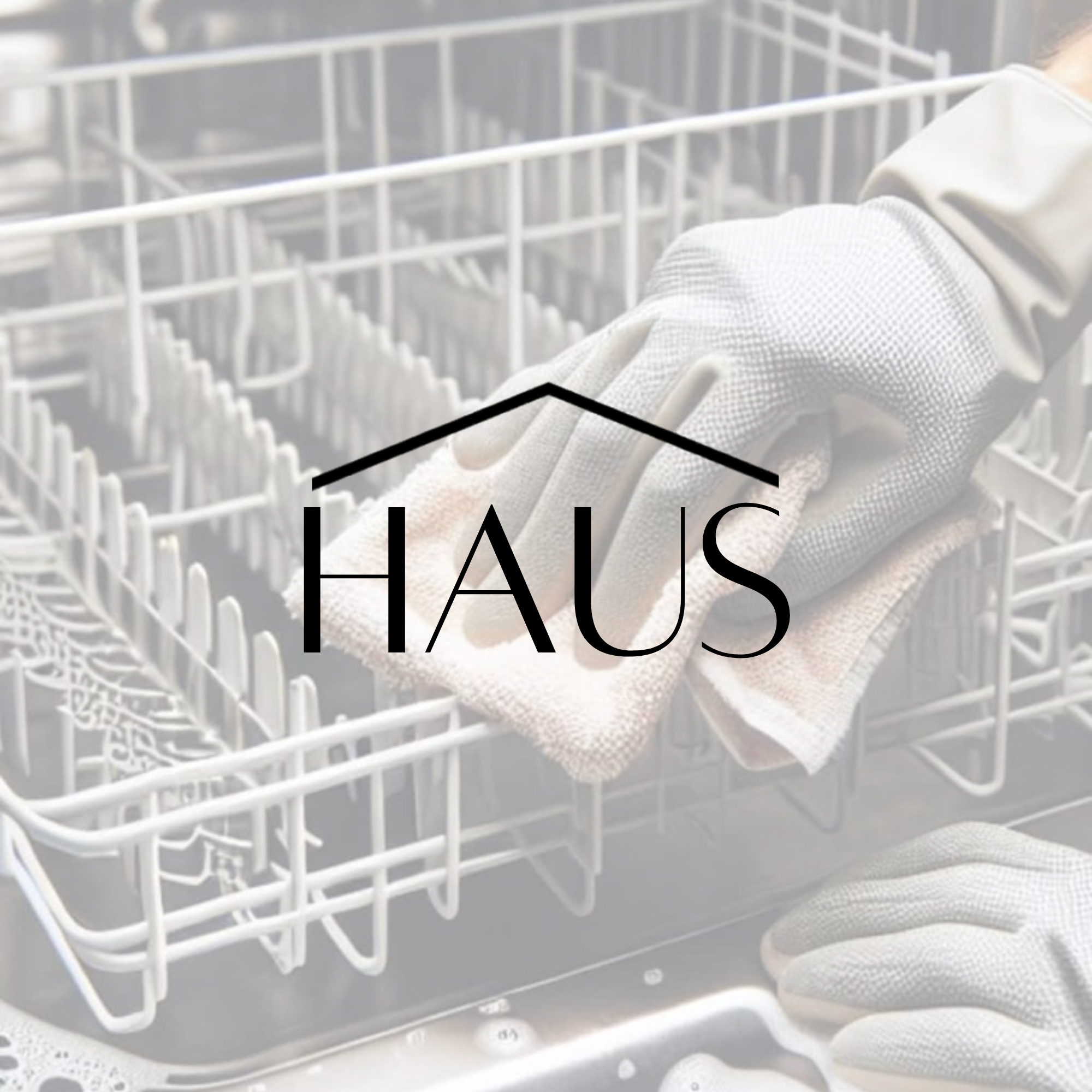 Add-on: Dishwasher Refresh