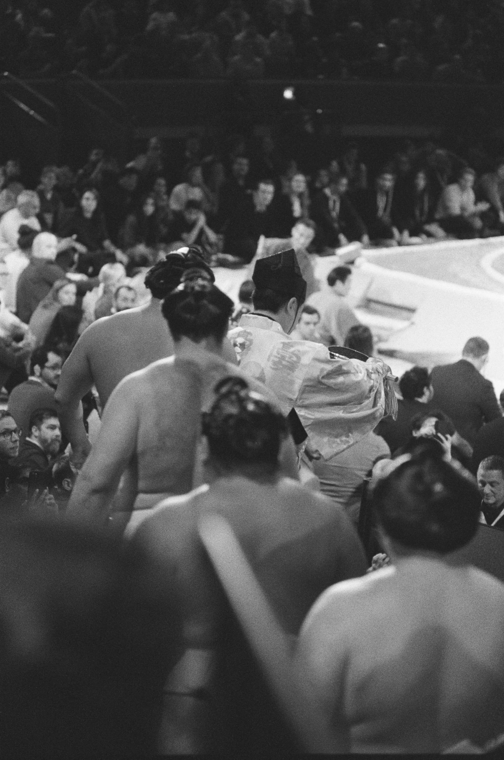 The line of wrestlers' topknots receding as they file out of the hall