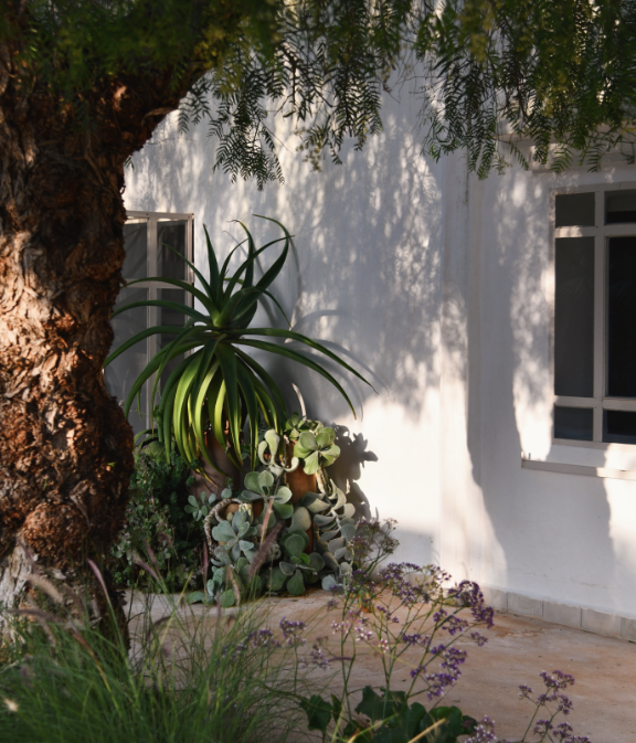 Vue sur une façade et le jardin de la Pink Pepper House 