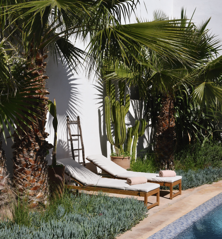 Chaises longues blanches avec serviettes roses à côté de la piscine de la Pink Pepper House , entourées de palmiers et de cactus