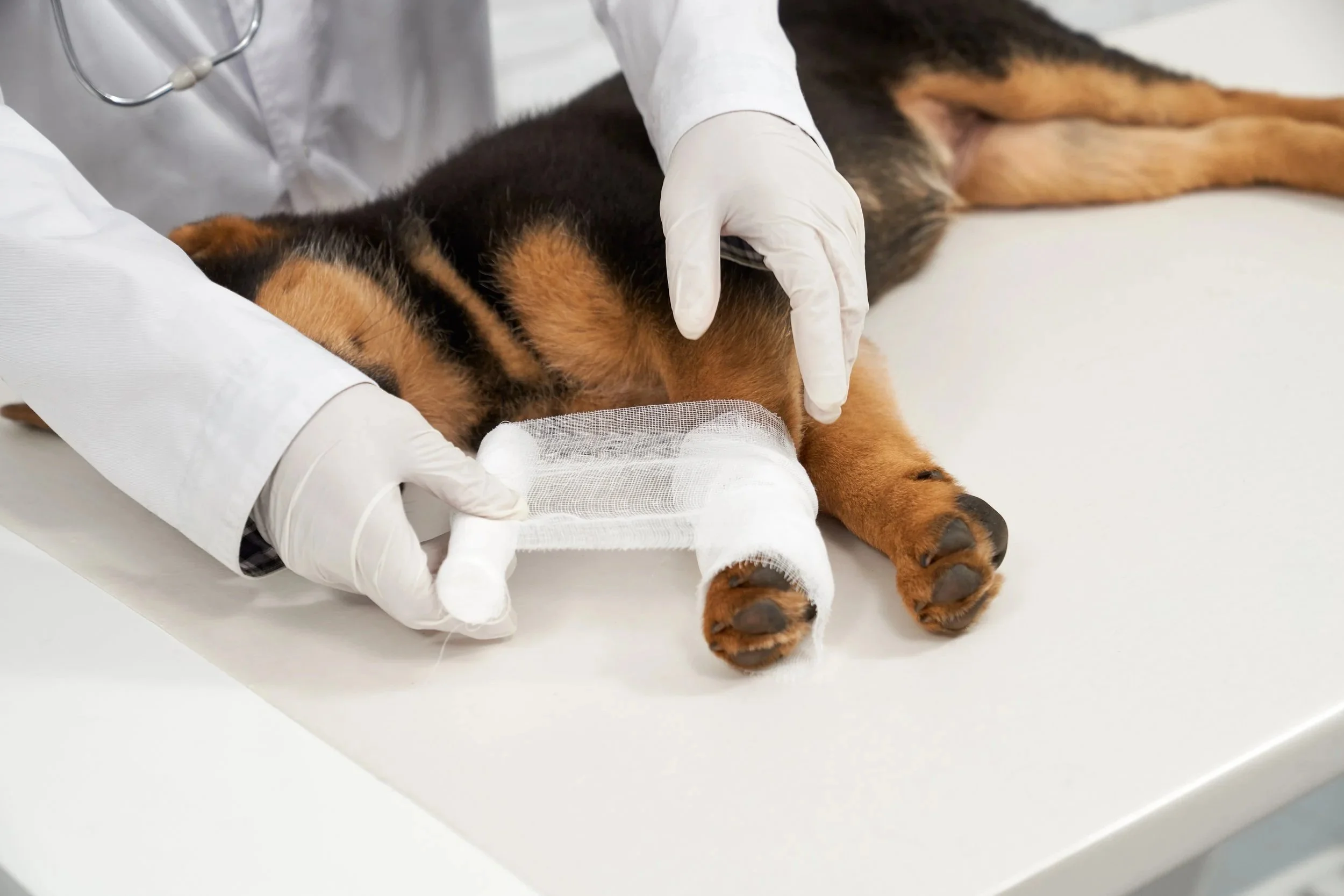Hands-on practical training