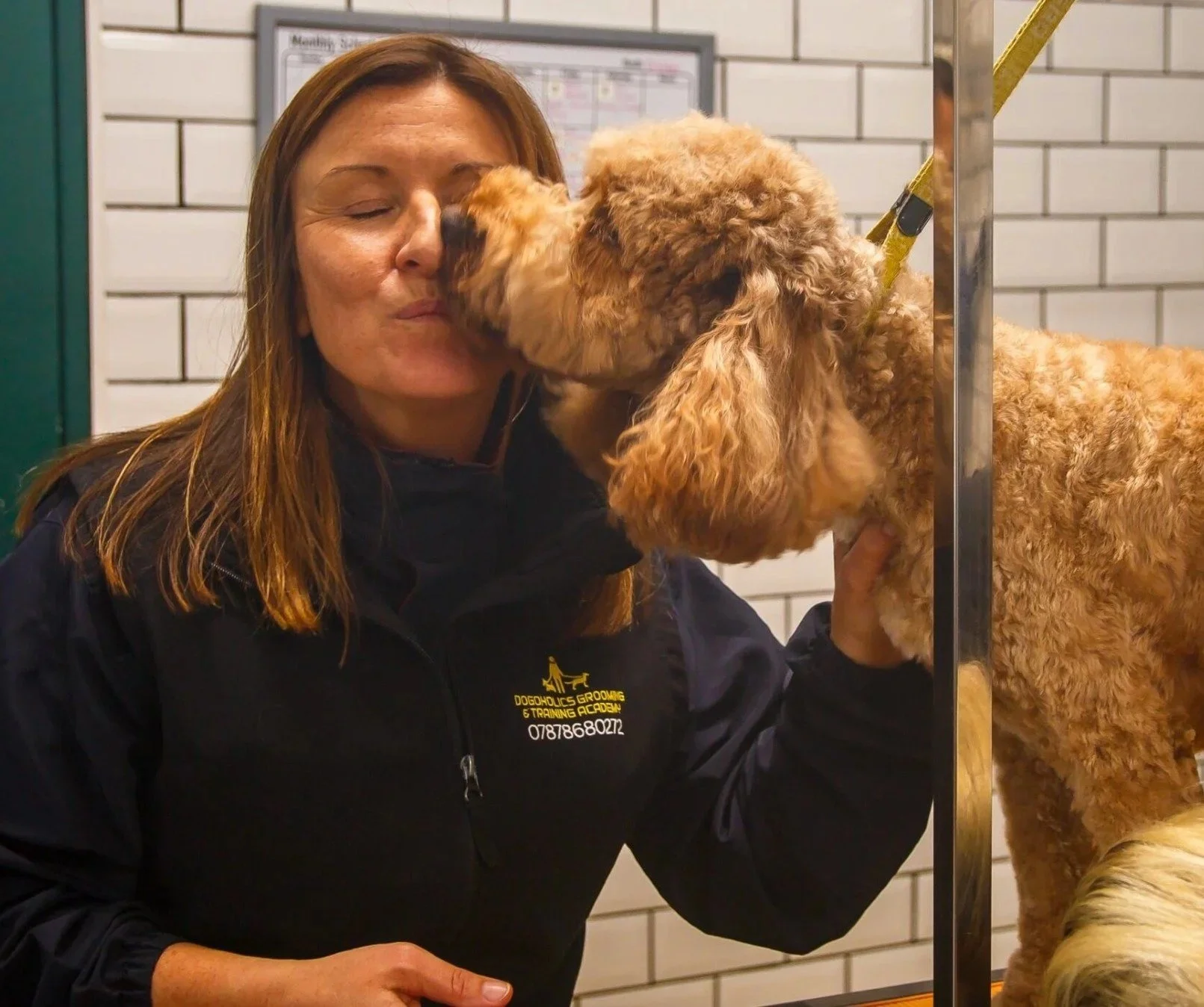 Professional dog groomer Lucy at Canine Care Academy Hull