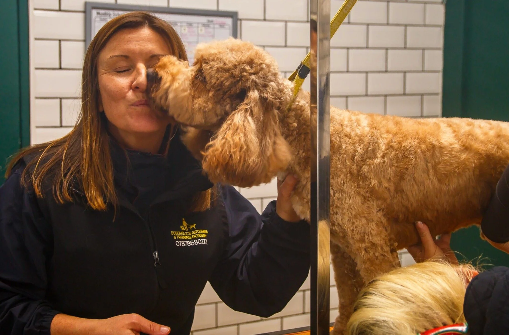 Dog grooming instructor teaching students in Hull