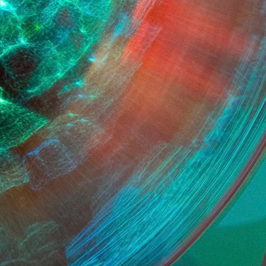 Sandie Knudsen - Photography & Painting