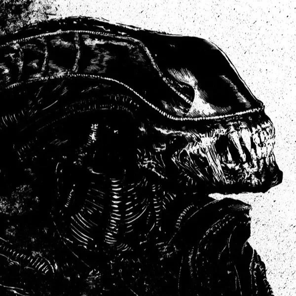 Thomas Creilly - Illustration & Graphic Design