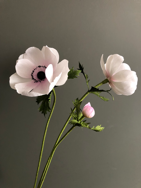Florrie's Paper Flora / Anna Howarth - Paper Craft