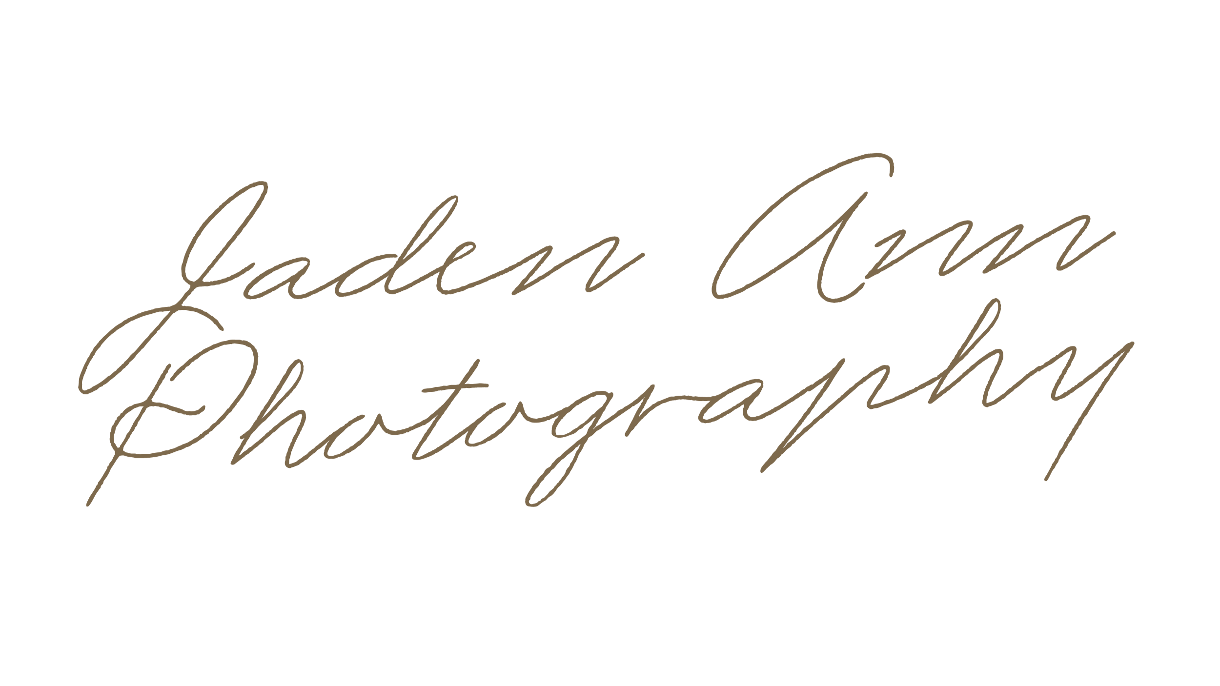 Elegant black background with cursive text reading 'Jaden Ann Photography' in beige