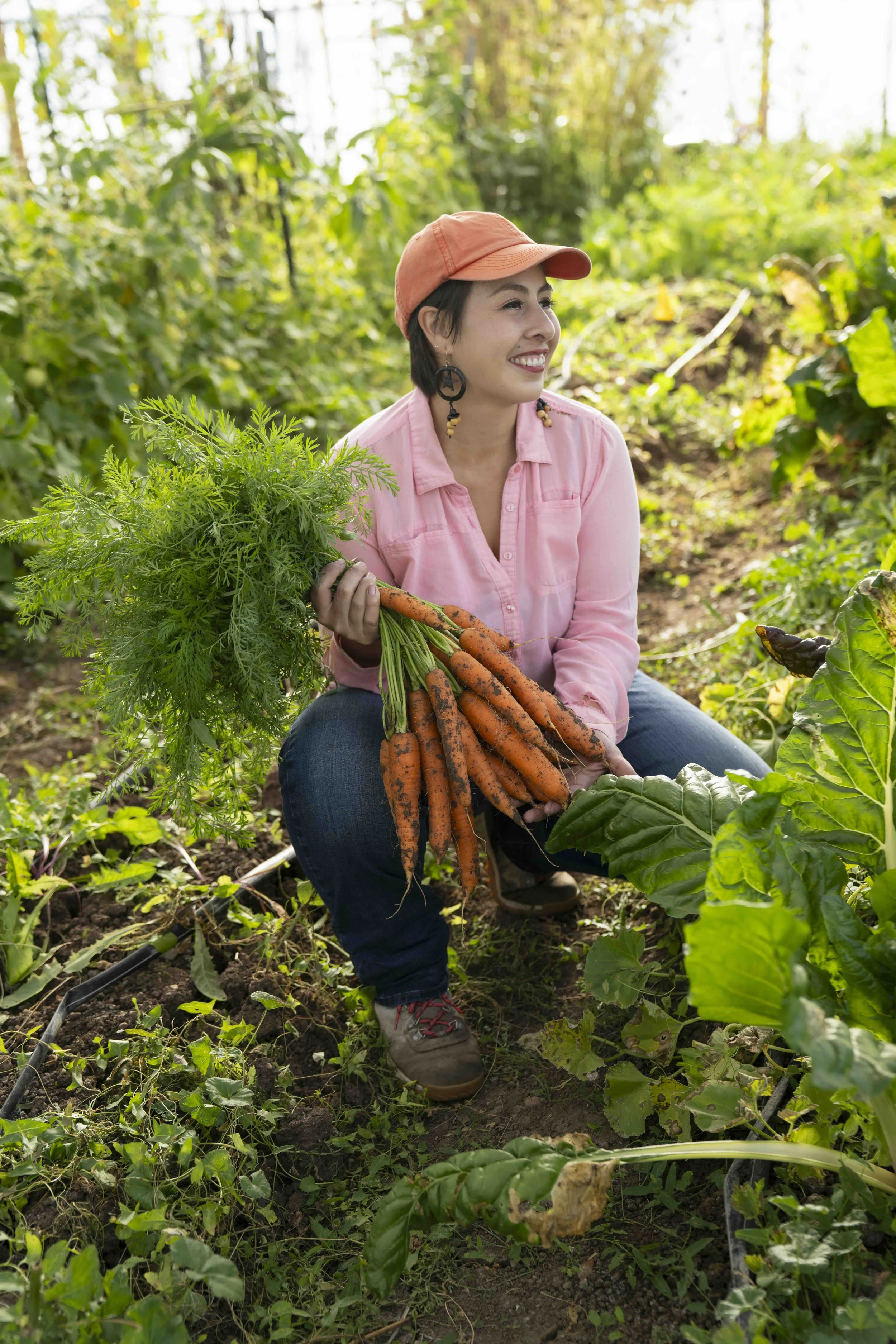 Chicoyole Farm_Carrots 42_Donne.jpg - Donne Gonzales.jpeg