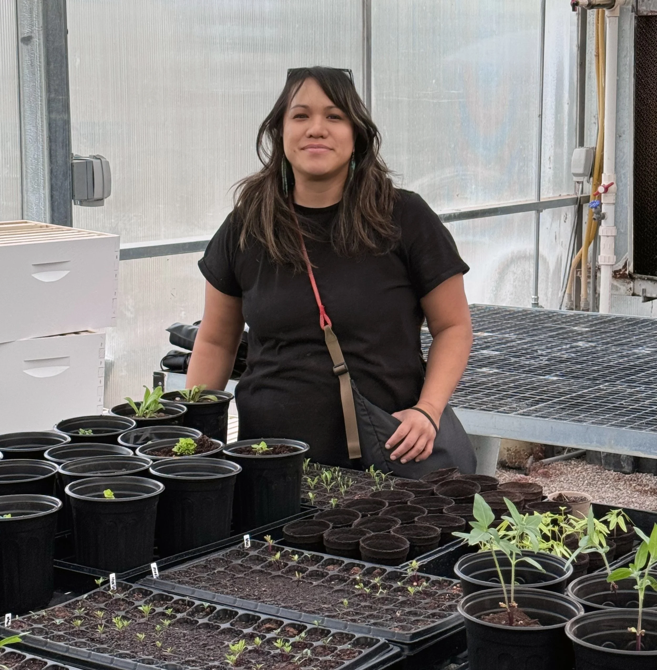 hkb-plants-01 - heidi brandow.jpeg