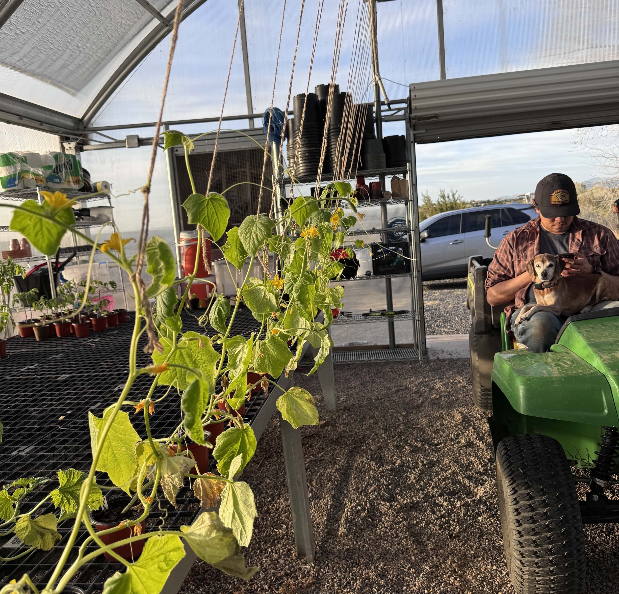 hkb-plants-03 - heidi brandow.jpeg