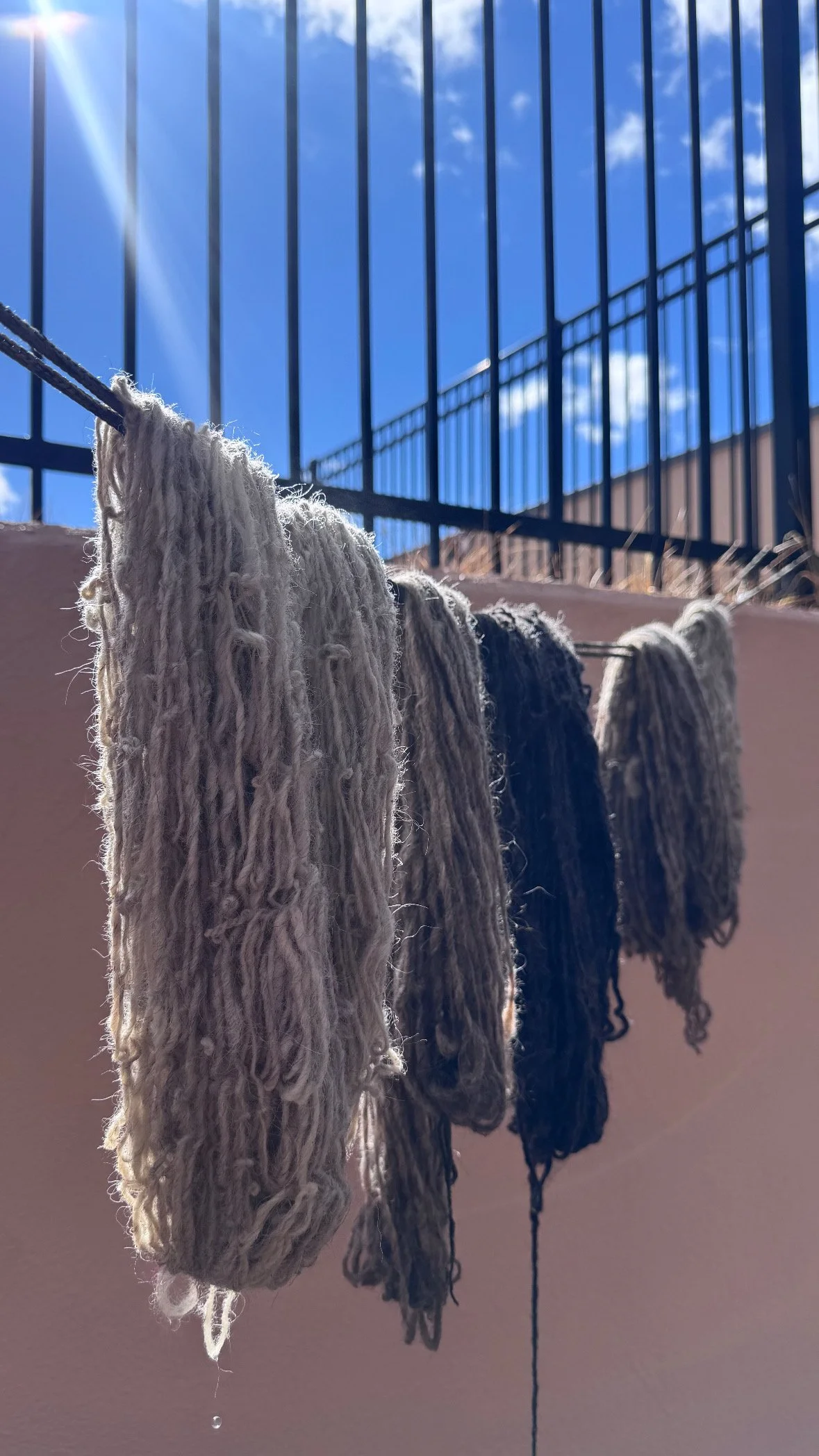 hkb-processed-wool-01 - heidi brandow.jpg