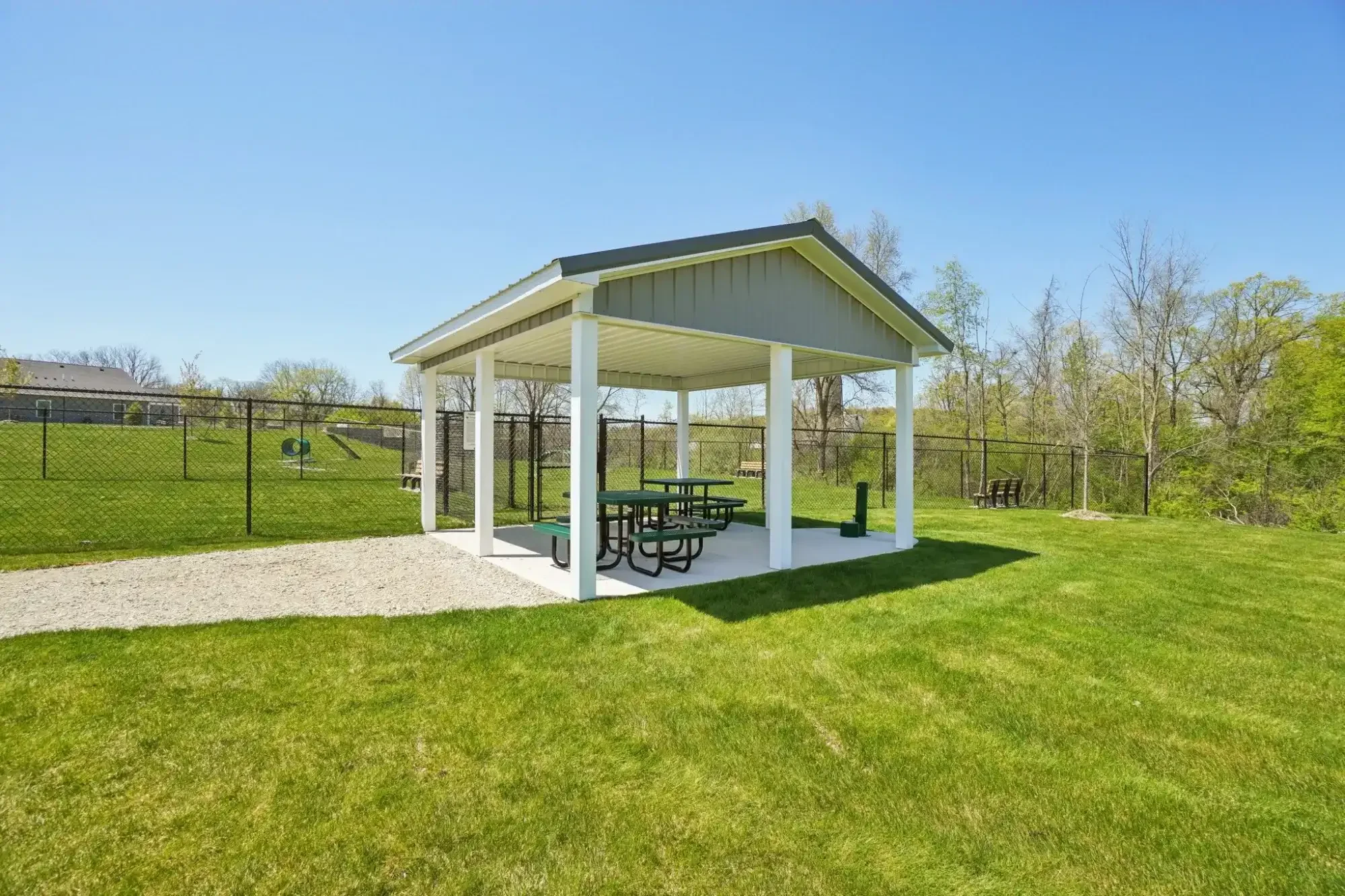 Dog-Park.webp