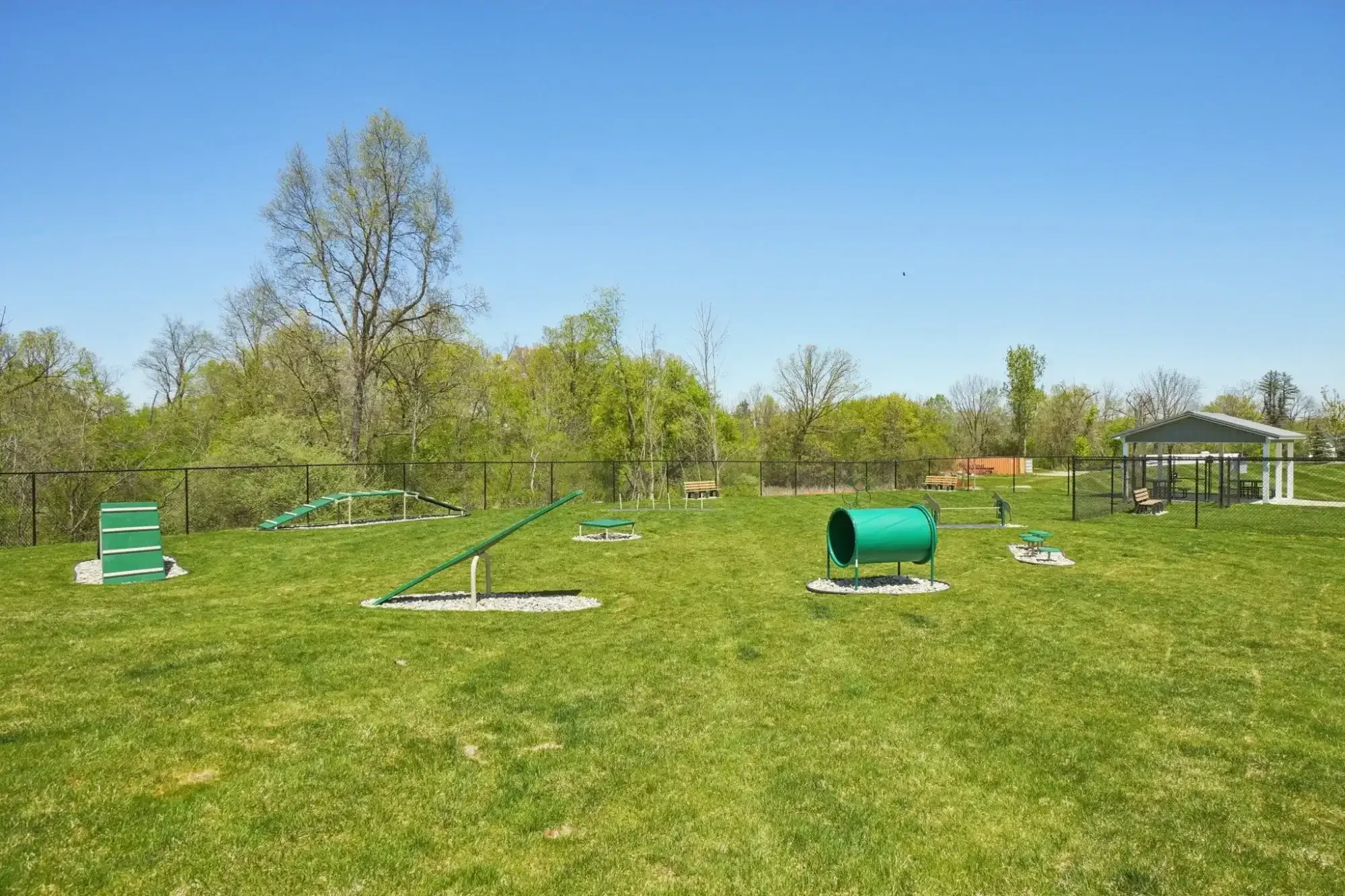 Village-dog-park.webp