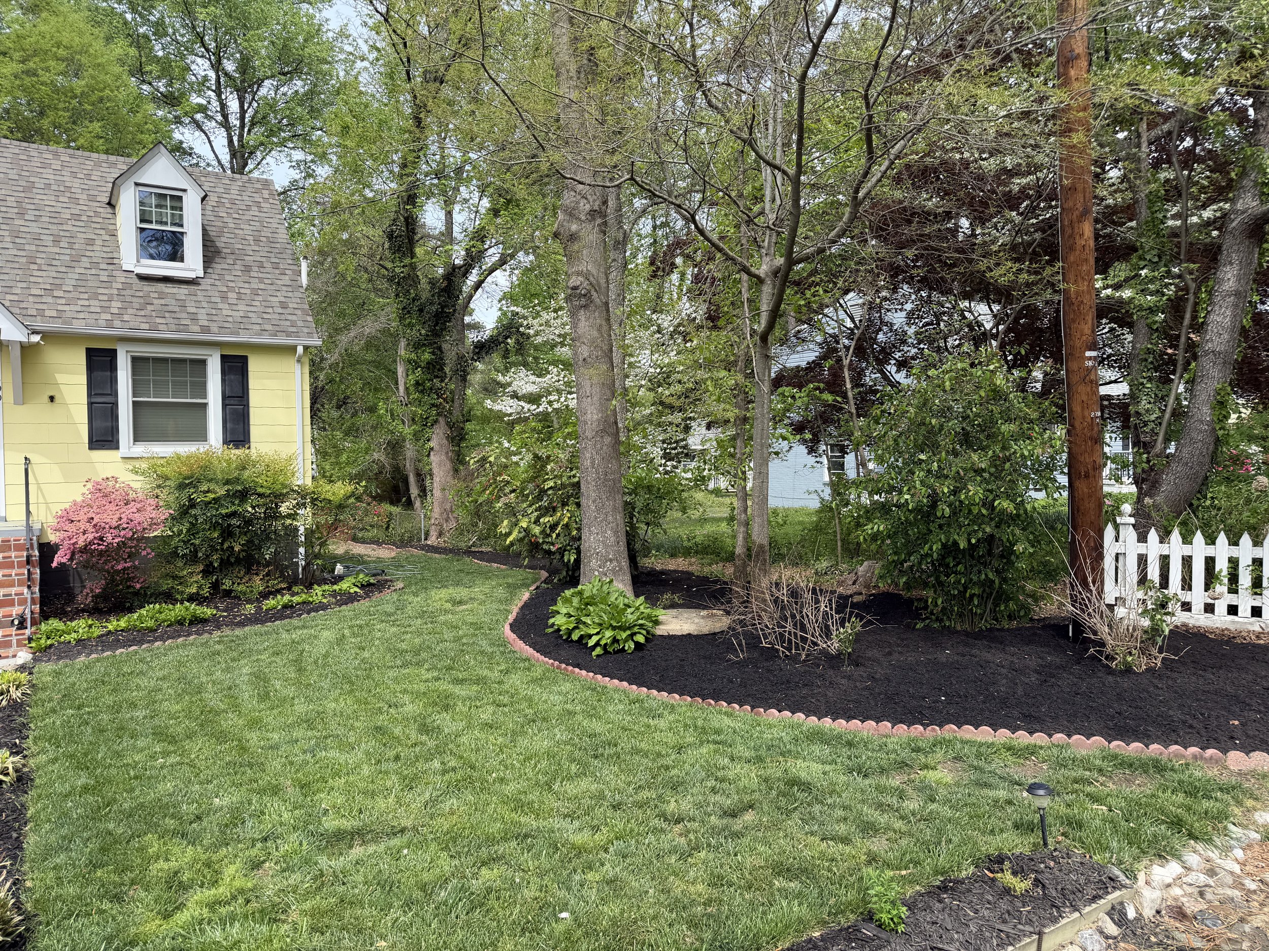 Mulch and Clean Ups