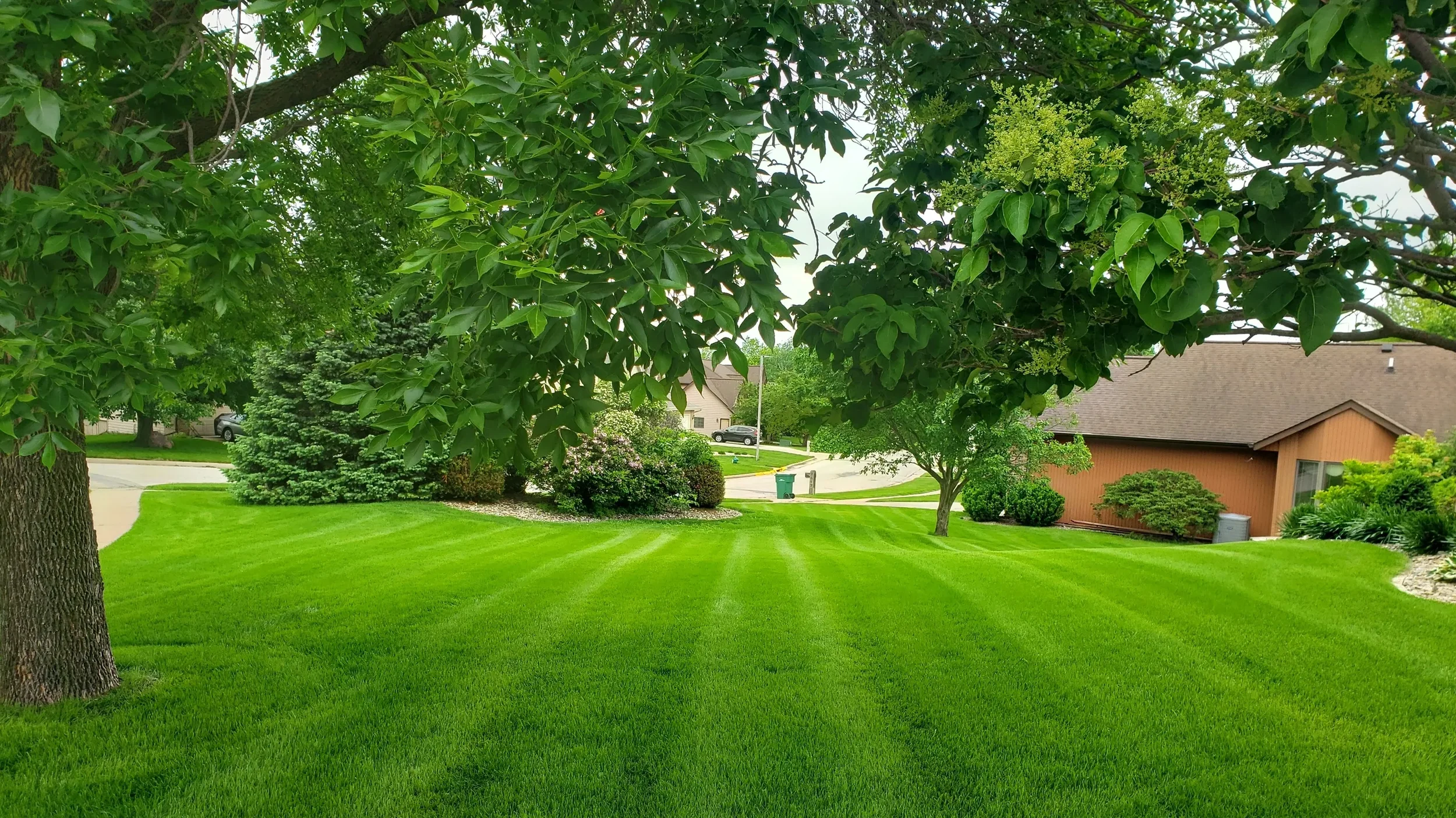 Lawn Mowing