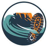 A stylized graphic of a water splashing with a mountain in the background and a trail of footprints in the water.