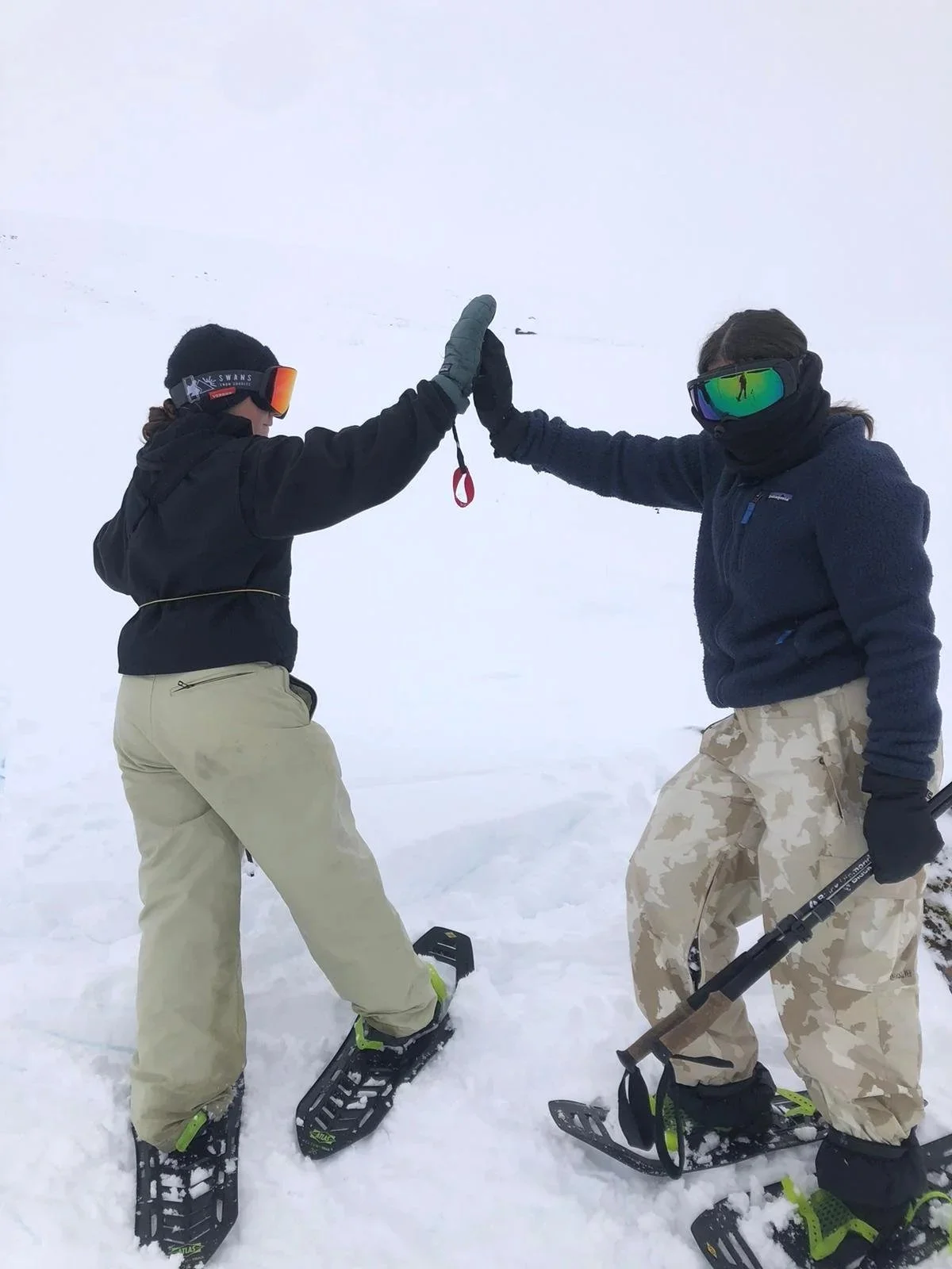 Two people in winter gear giving each other a high five on snowshoes in a snowy landscape.