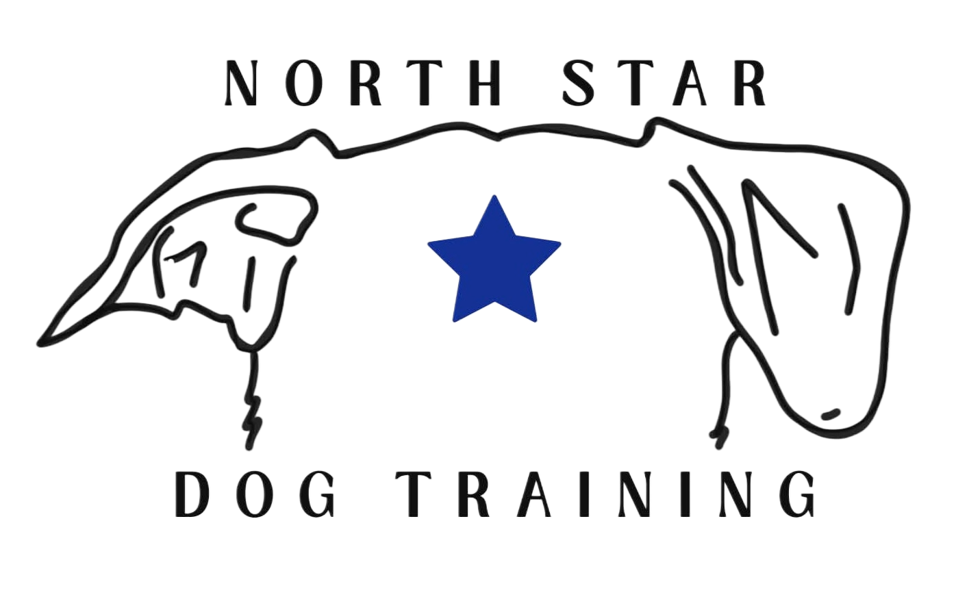 North Star Dog Training