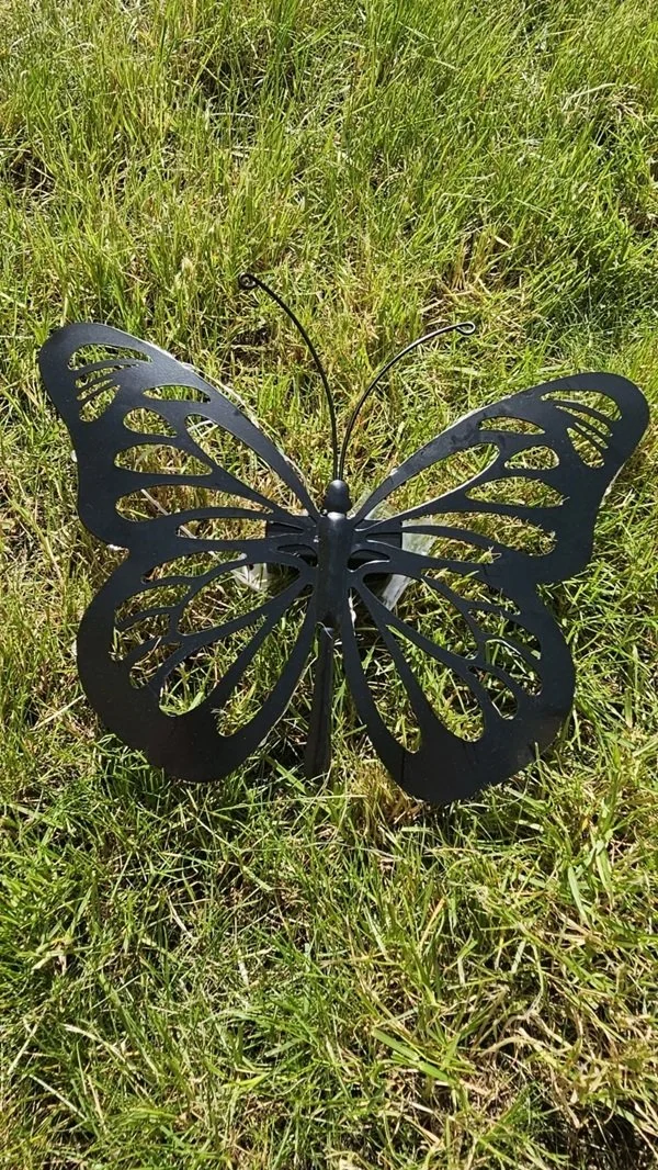 butterfly 6.jpg