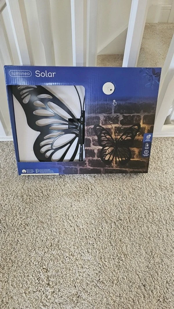 butterfly 16.jpg