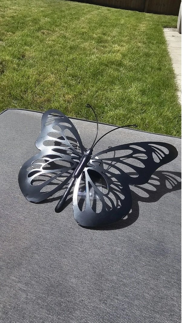 butterfly 13.jpg