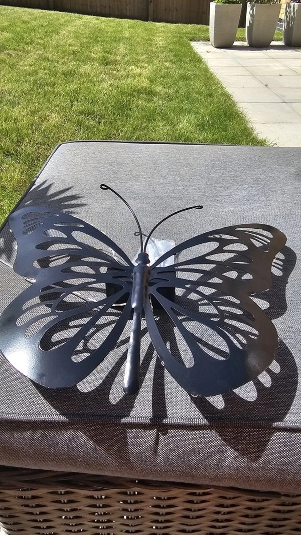 butterfly 15.jpg