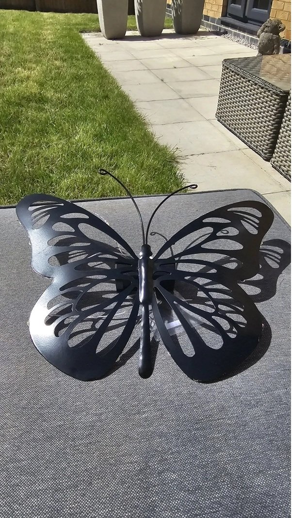 butterfly 11.jpg