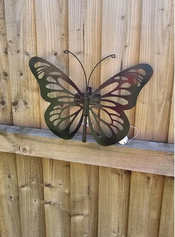 butterfly 8.jpg
