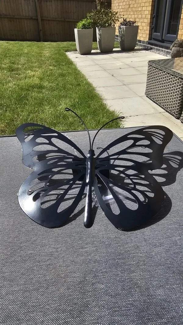 butterfly 5.jpg