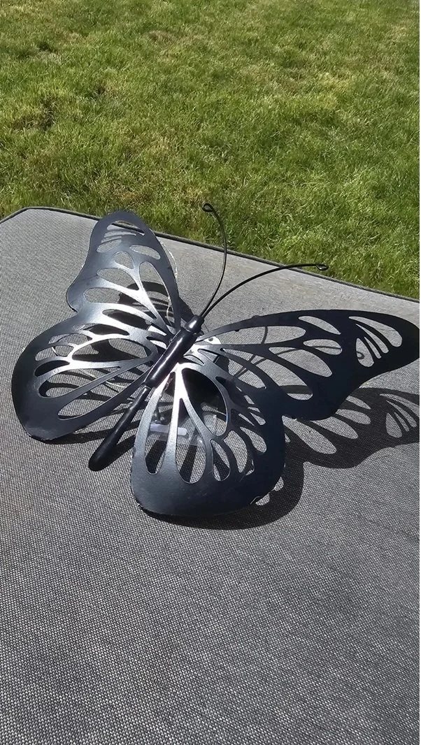 butterfly 12.jpg