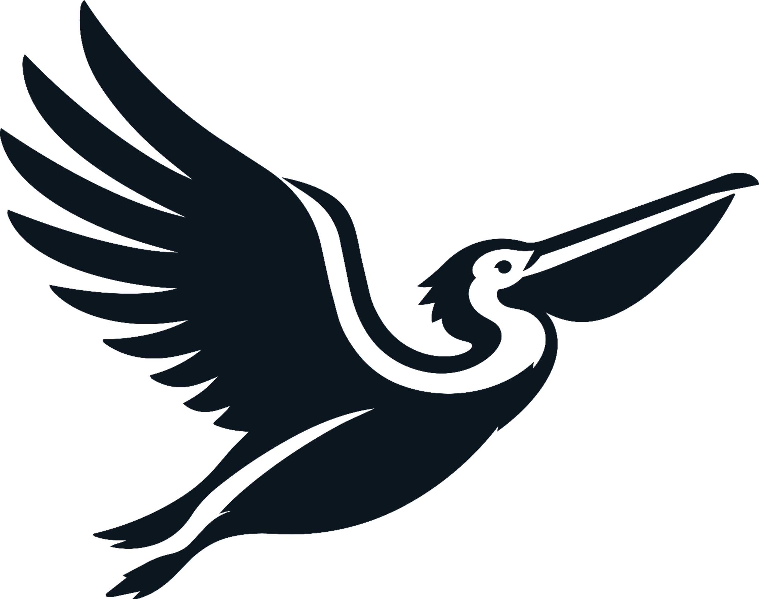 Stylized dark blue eagle silhouette with outstretched wings on a black background
