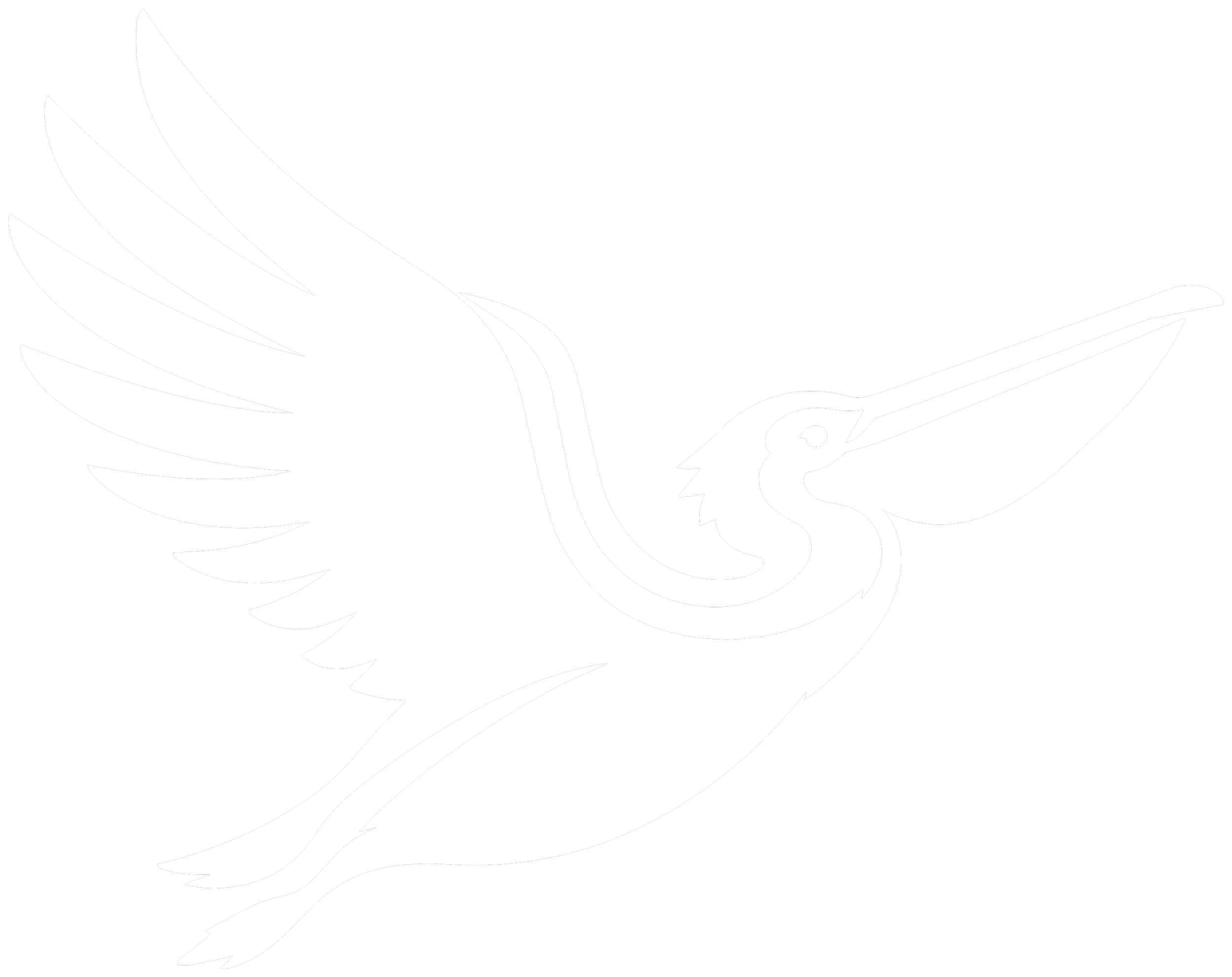 White stylized eagle logo flying against a black background