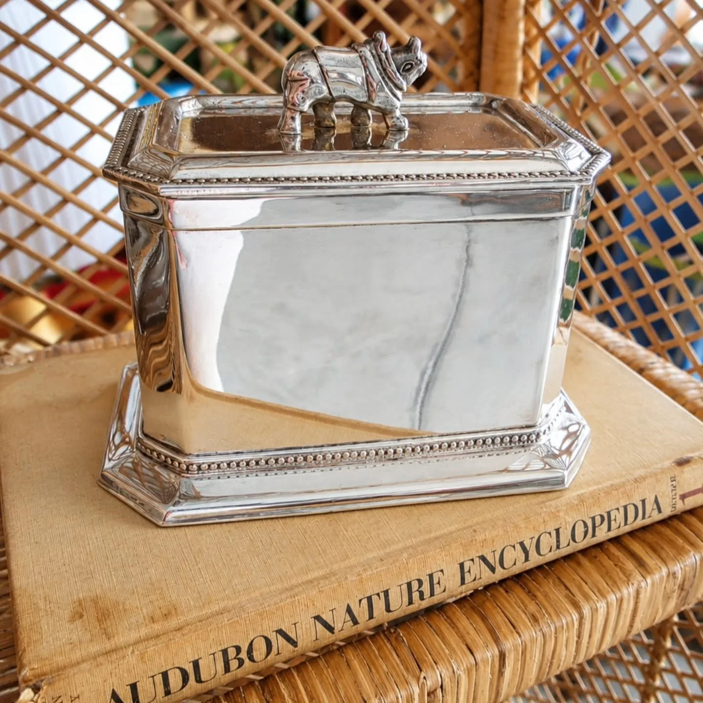 Somewhere between English library and eccentric aunt.
Silverplated Rhino lidded box.... Yes, you need him!
$90 PM for more details🖤