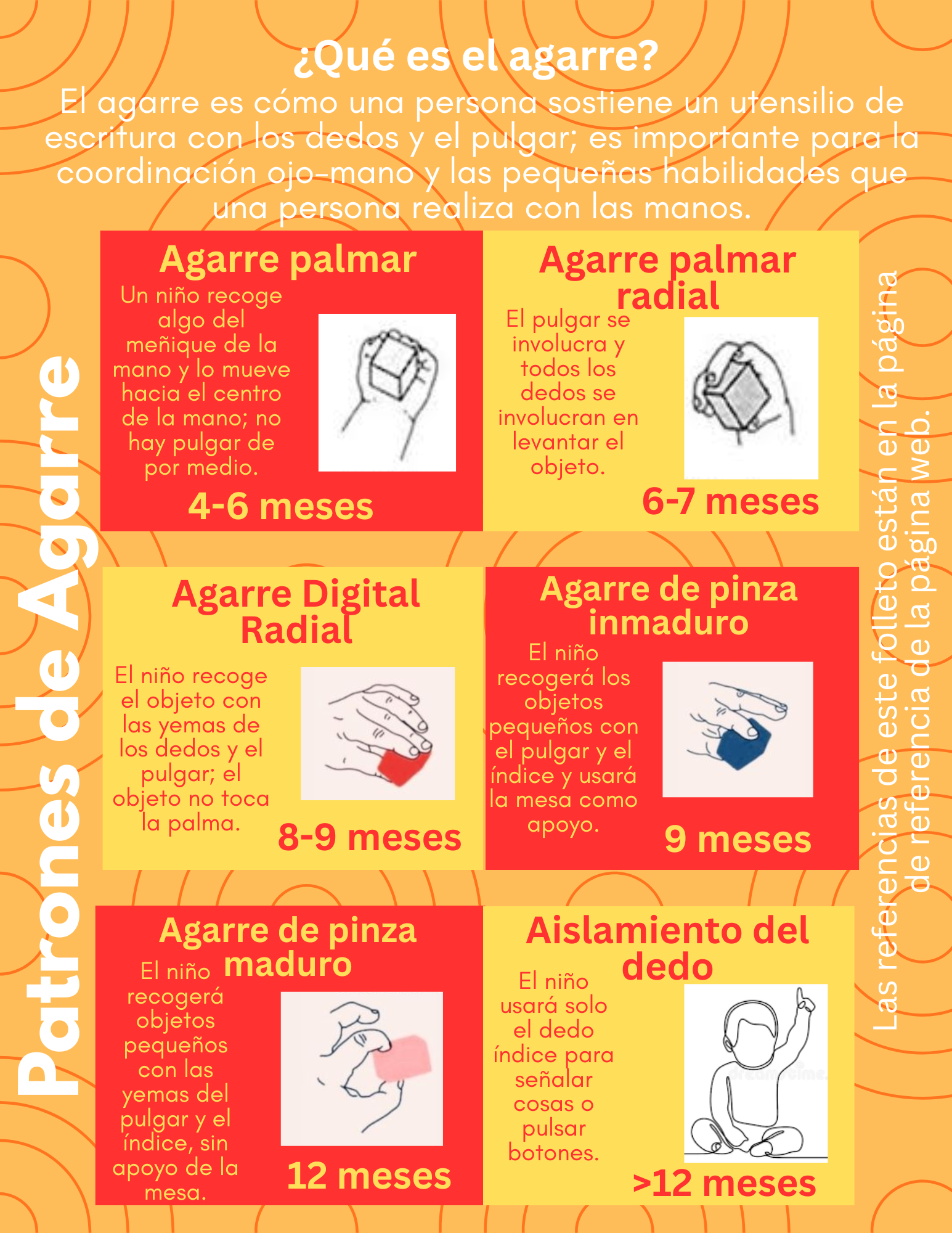 Infographic describing different types of grips for children at various ages, including palm grip, radial grip, digital grip, pinch grip, mature pinch grip, finger isolation, and beyond 12 months, with illustrations and age ranges in months.