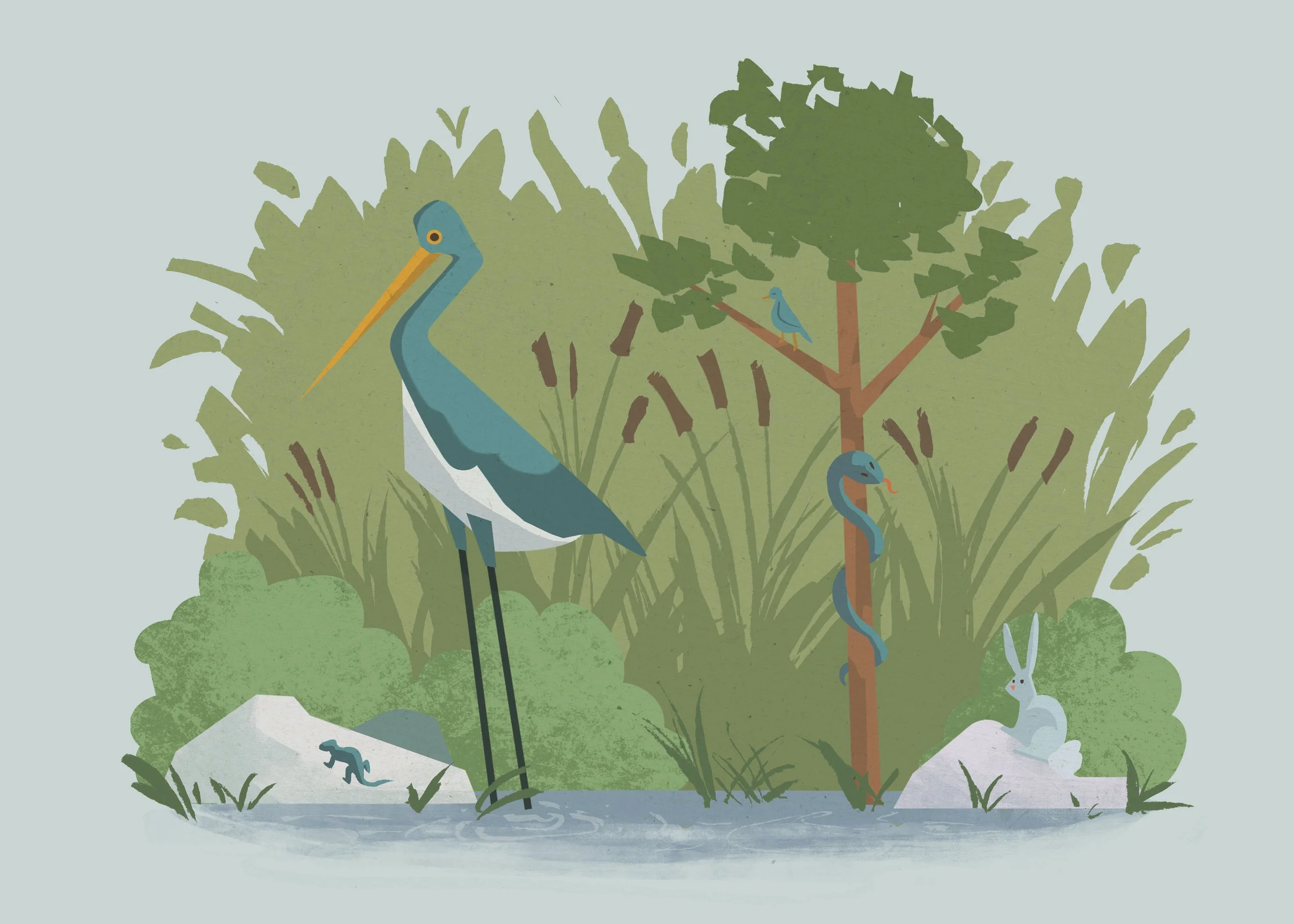 Wading in the Reeds