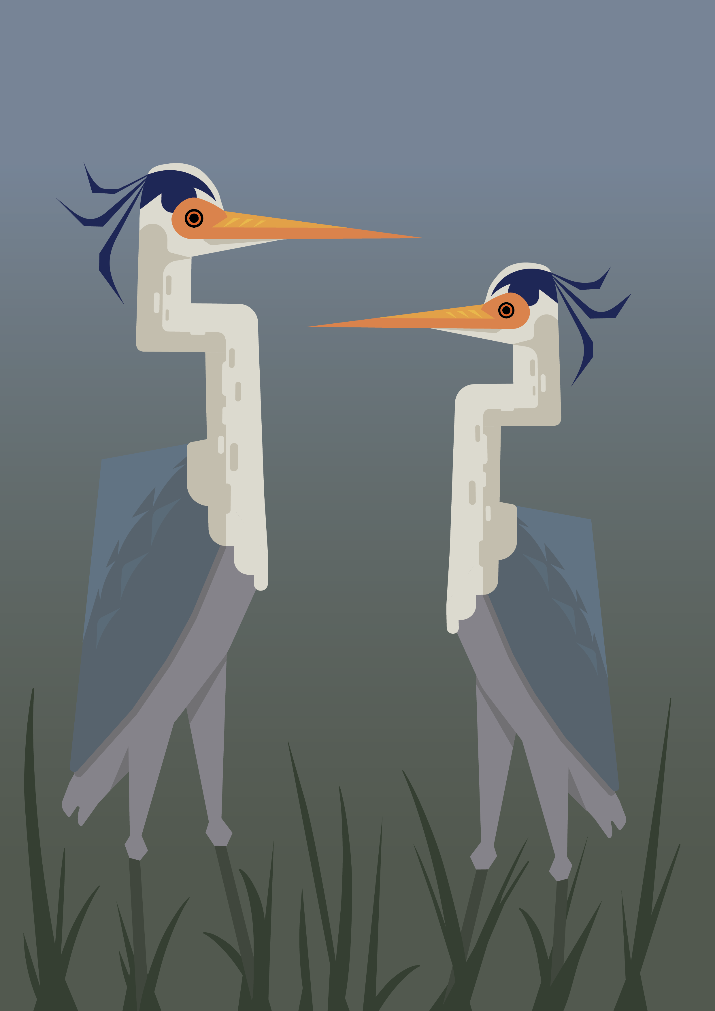 Herons in the Weeds (Digital Media)