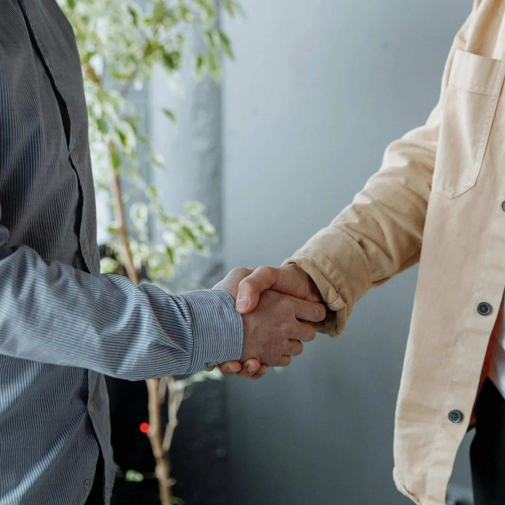 Two people shaking hands. One person wearing a blue striped shirt, the other wearing a beige jacket. The background is blurred with some green plants.