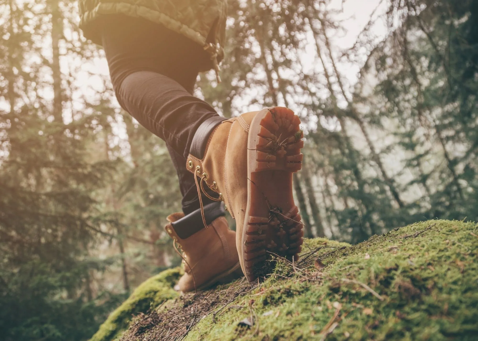 Close-up of a person's boot stepping on a moss-covered log in a forest, with trees and sunlight in the background.