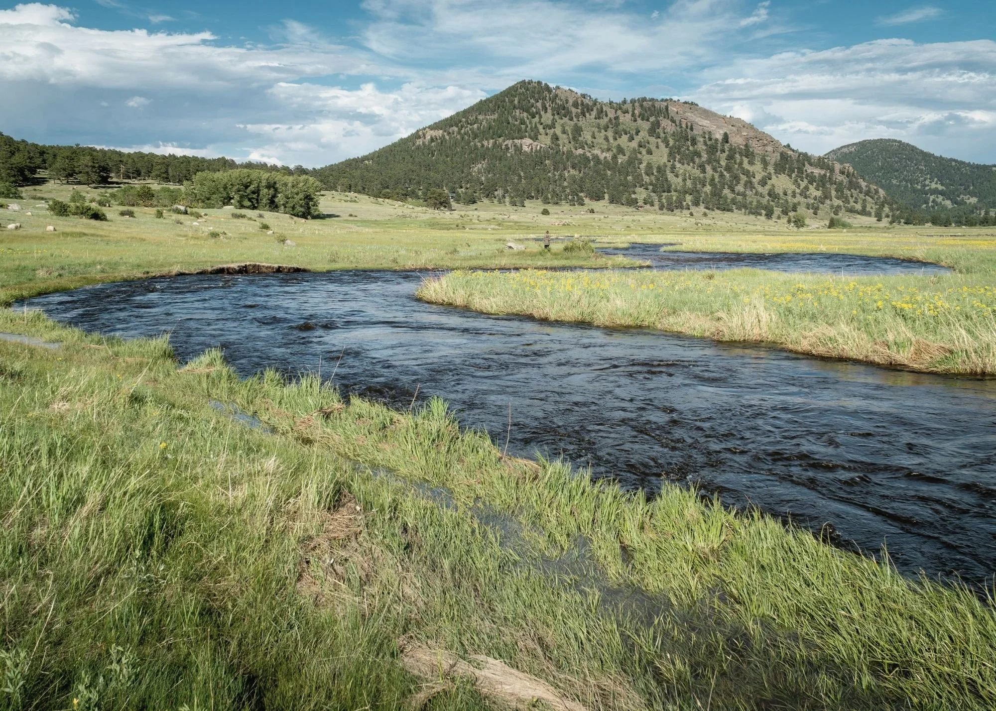 Scenic landscape with a flowing river, green grassy fields, a forested hill, and a partly cloudy sky.