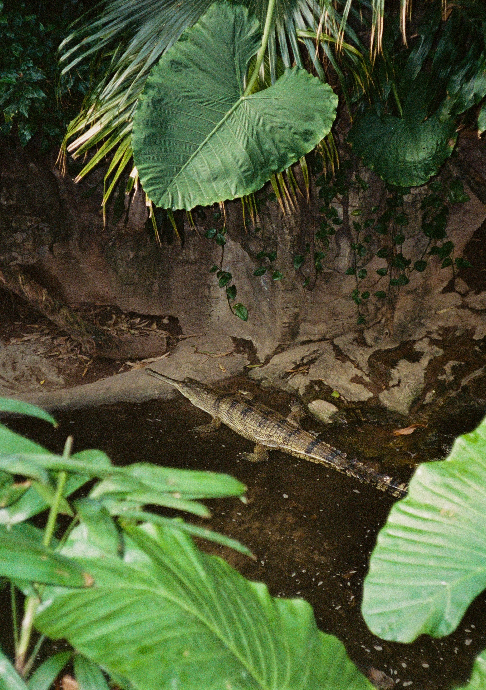 edited 6.26.23-098.jpg