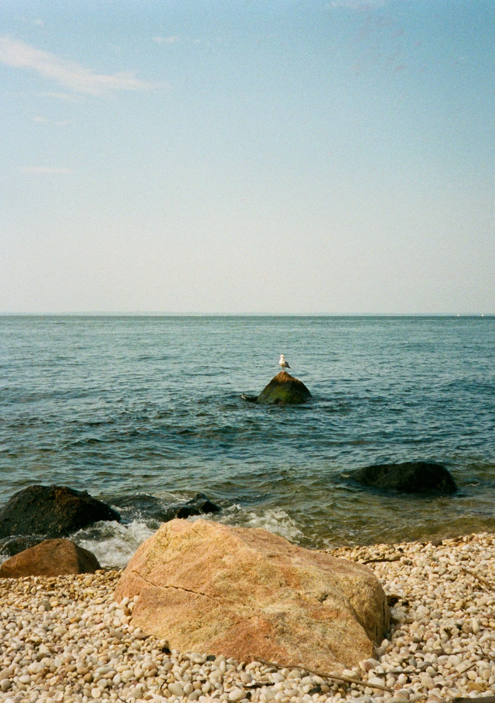 edited 6.26.23-104.jpg