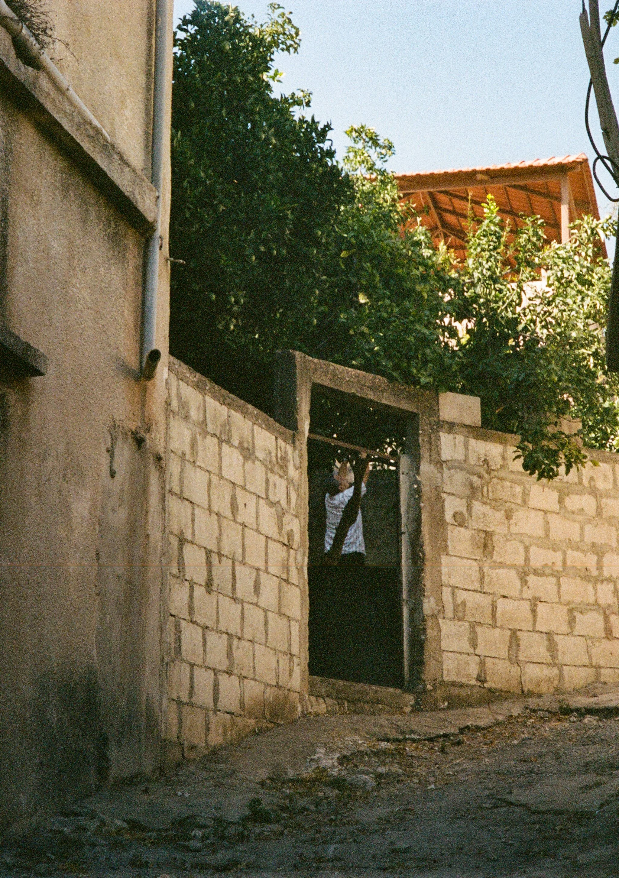 edited 6.26.23-101.jpg