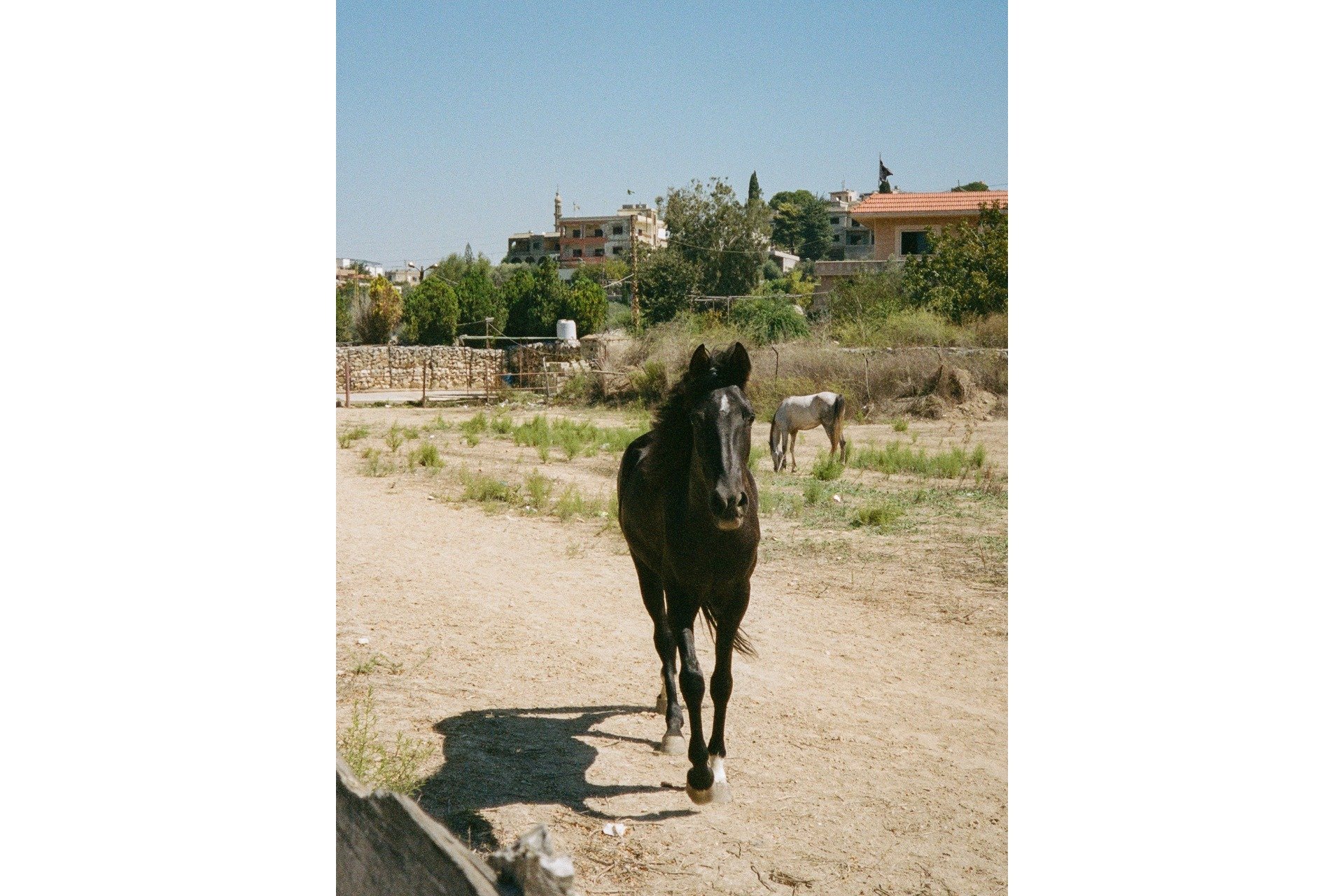 Deir Kifa 12 x 18_bordered.jpg