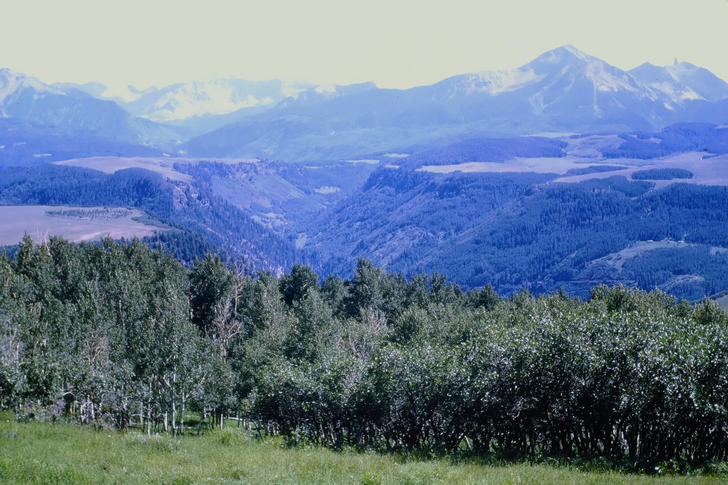 IMAG0010.JPG