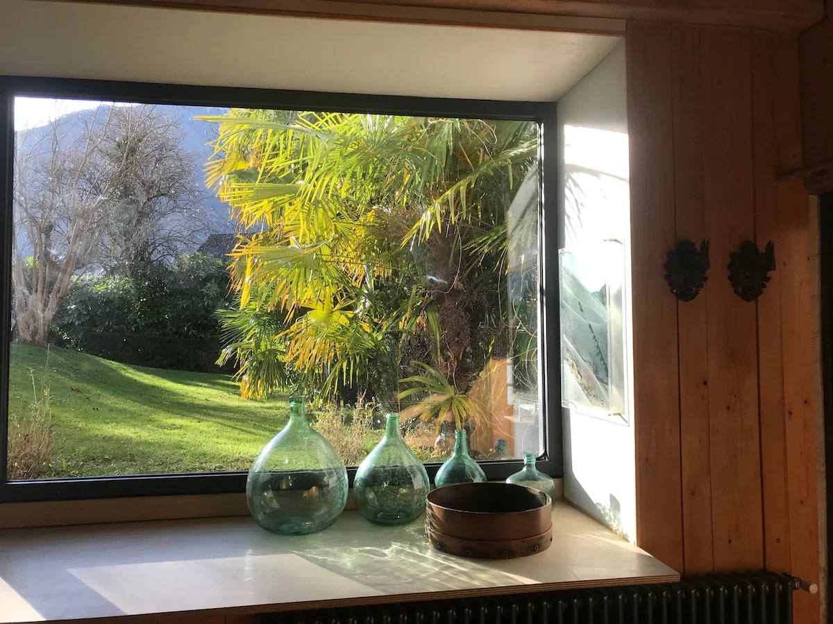Vitrine avec trois bouteilles en verre vert et un récipient rond en bois, vue sur un jardin avec un arbre et des plantes tropicales, intérieur en bois.